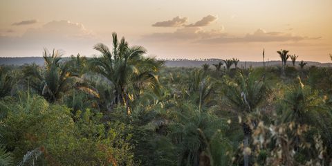 For Brazilians, the barriers to COP30 participation are overwhelming
