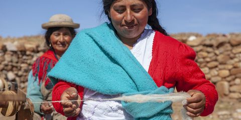 Governance and membership