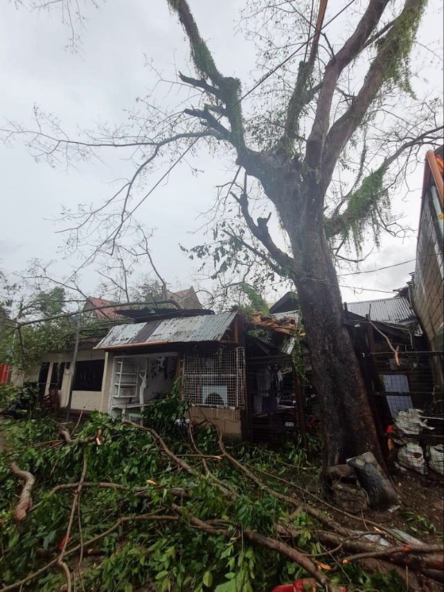 Aftermath of Typhoon Bualoi in Masbate, Philippines  