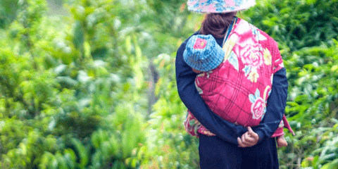 Regional Update: Asia (2022)